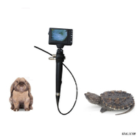 WBS-9 broncoscopio de nasofaringoscopio ent de fibra óptica portátil veterinario