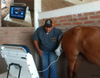 Equipo de ultrasonido veterinario HV-50C Escáner de ultrasonido Doppler a color táctil digital portátil