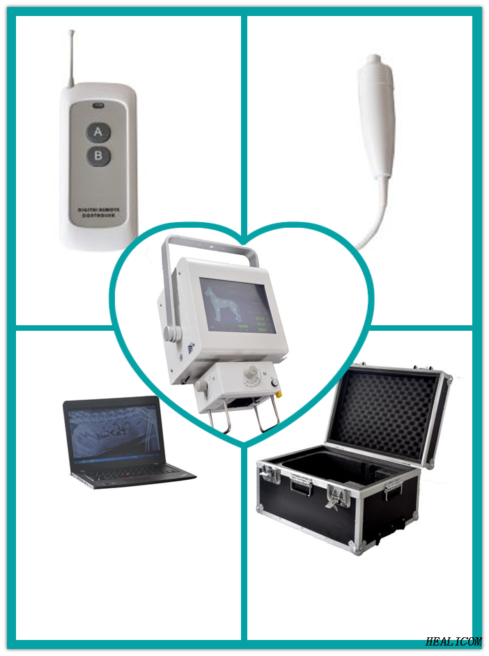 Precio barato WTX-05DR Veterinary Vet Medical Digital portátil máquina de rayos X para animales